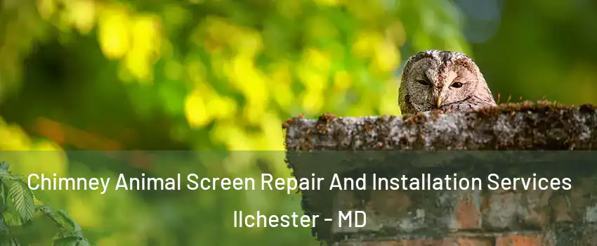  Chimney Animal Screen Repair And Installation Services Ilchester - MD