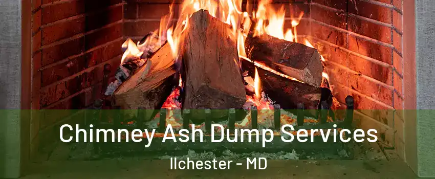  Chimney Ash Dump Services Ilchester - MD