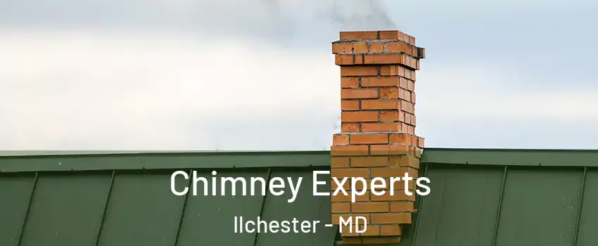  Chimney Experts Ilchester - MD