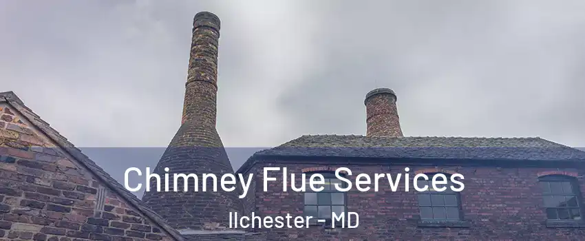  Chimney Flue Services Ilchester - MD