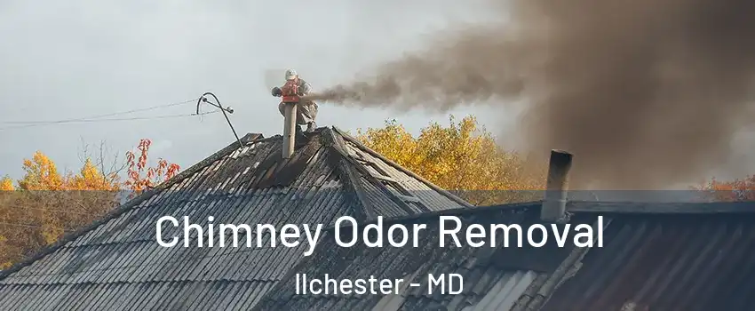  Chimney Odor Removal Ilchester - MD
