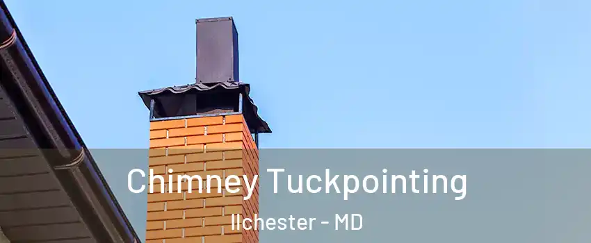  Chimney Tuckpointing Ilchester - MD