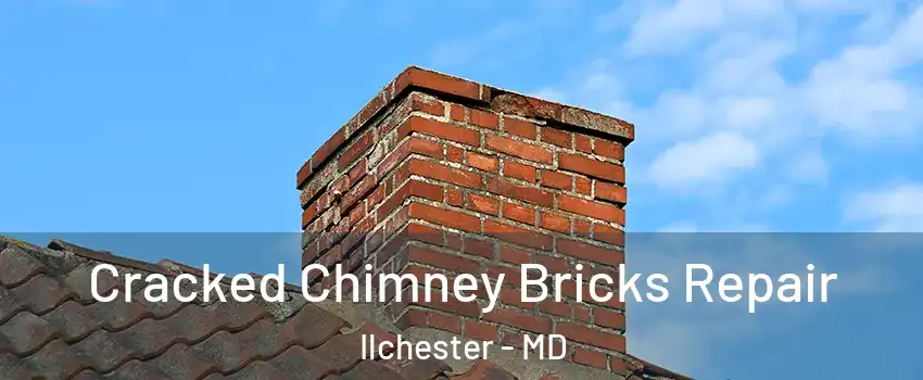  Cracked Chimney Bricks Repair Ilchester - MD