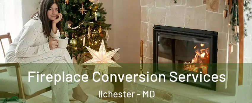 Fireplace Conversion Services Ilchester - MD