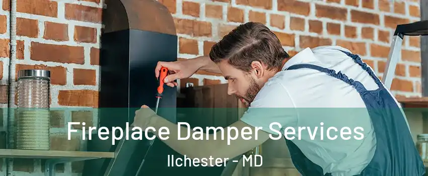  Fireplace Damper Services Ilchester - MD