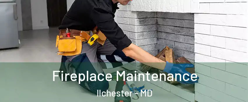  Fireplace Maintenance Ilchester - MD