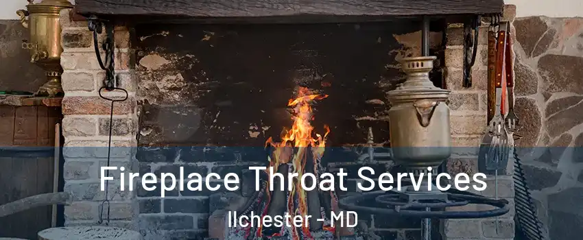  Fireplace Throat Services Ilchester - MD