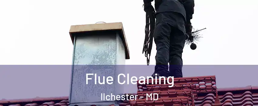  Flue Cleaning Ilchester - MD