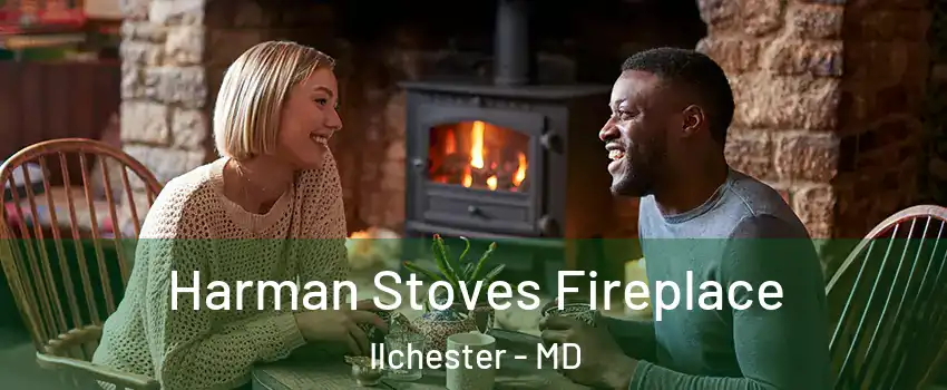  Harman Stoves Fireplace Ilchester - MD