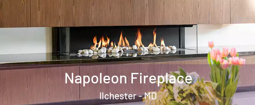  Napoleon Fireplace Ilchester - MD