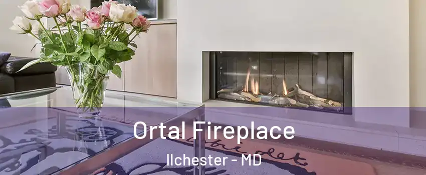  Ortal Fireplace Ilchester - MD