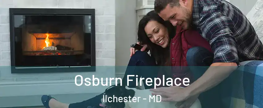  Osburn Fireplace Ilchester - MD